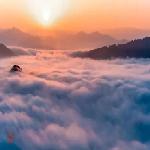 ����ɽ����ɭ�ֹ�԰